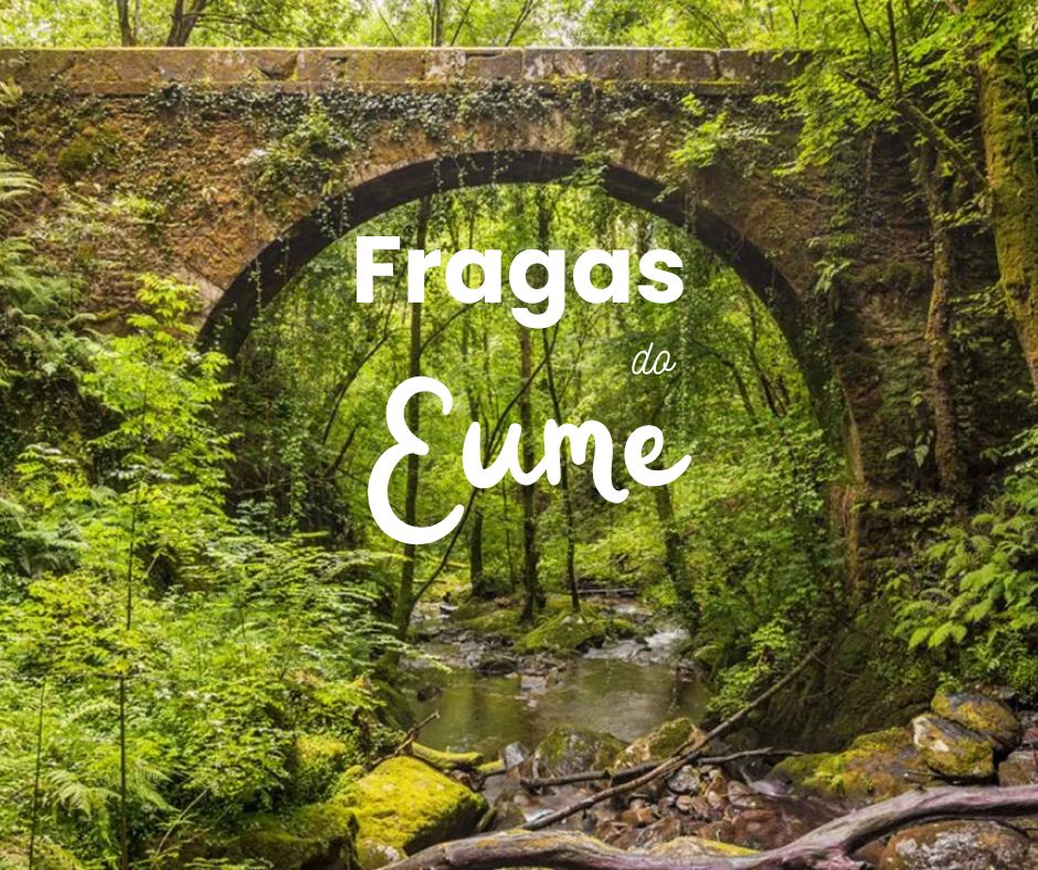Un día nas Fragas do Eume. Camiñar e compartir. Domingo 16 Nov.