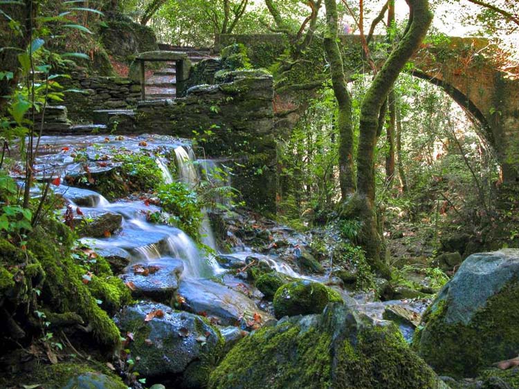 Un día nas Fragas do Eume. Camiñar e compartir. Domingo 16 Nov. - Imagen 2